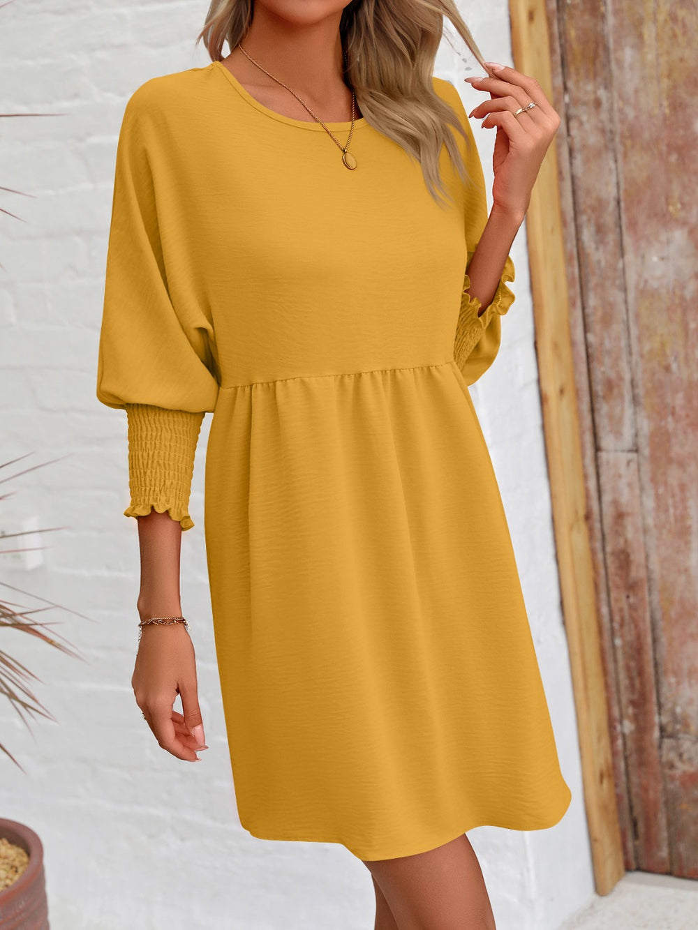 Round Neck Lantern Sleeve Mini Dress Trendsi