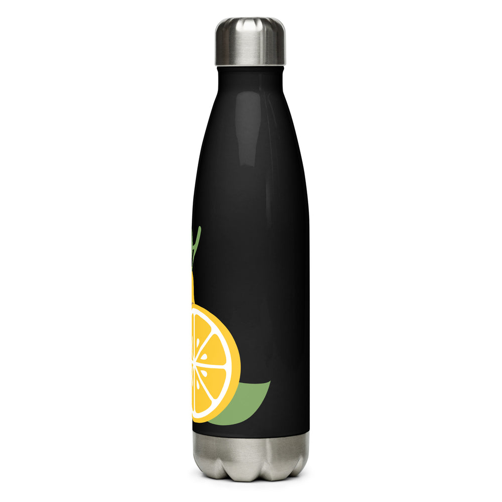 Stainless steel water bottle Bacary-Lee