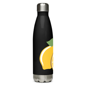 Stainless steel water bottle Bacary-Lee